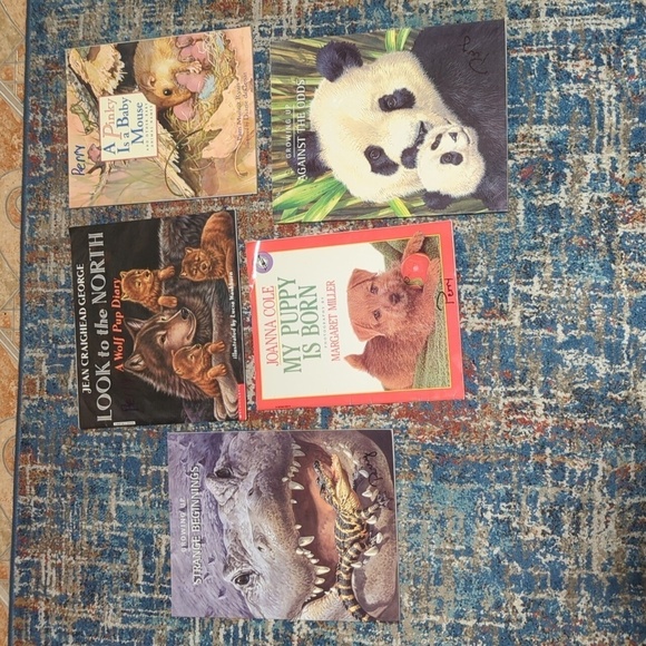 Scholastic Non Fiction Book Set of 5 PB Books Baby Animals My Puppy is Born - Picture 1 of 10